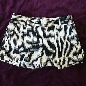 Express Shorts
